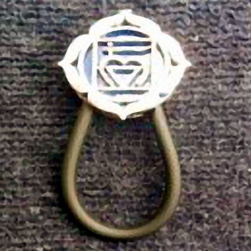 Porta Occhiali da Giacca Elegante - idea Regalo Sottocchio